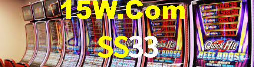 SS33